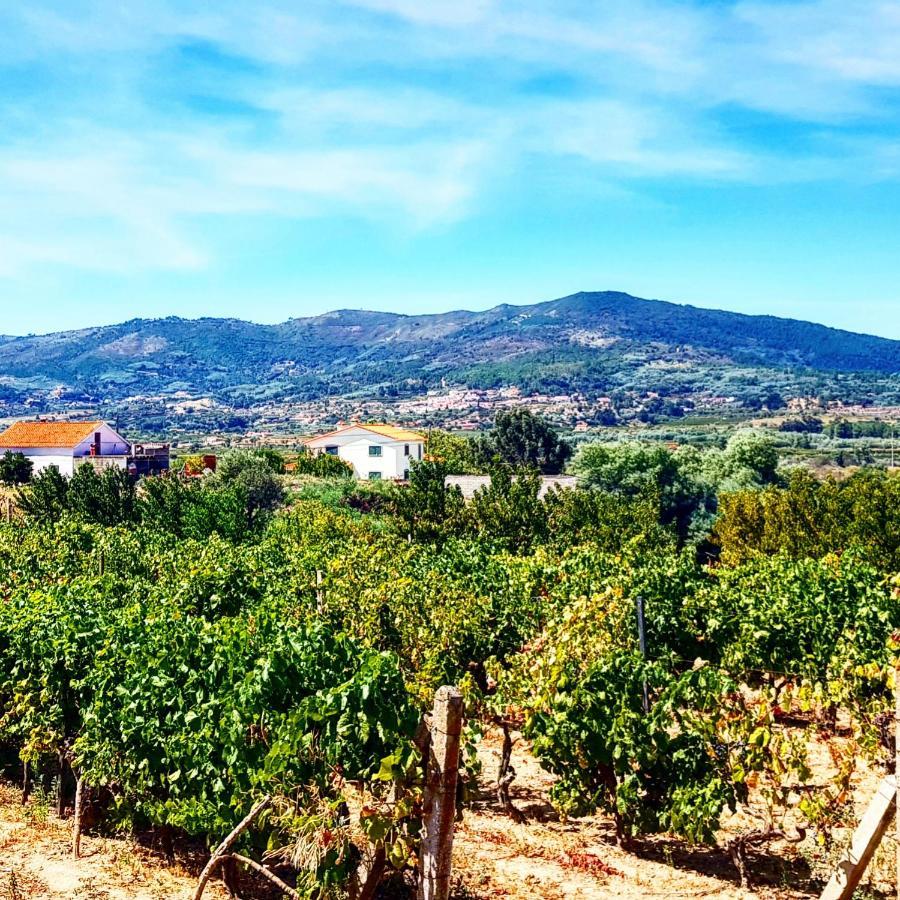 Casa Dom Yahya Βίλα Belmonte  Εξωτερικό φωτογραφία